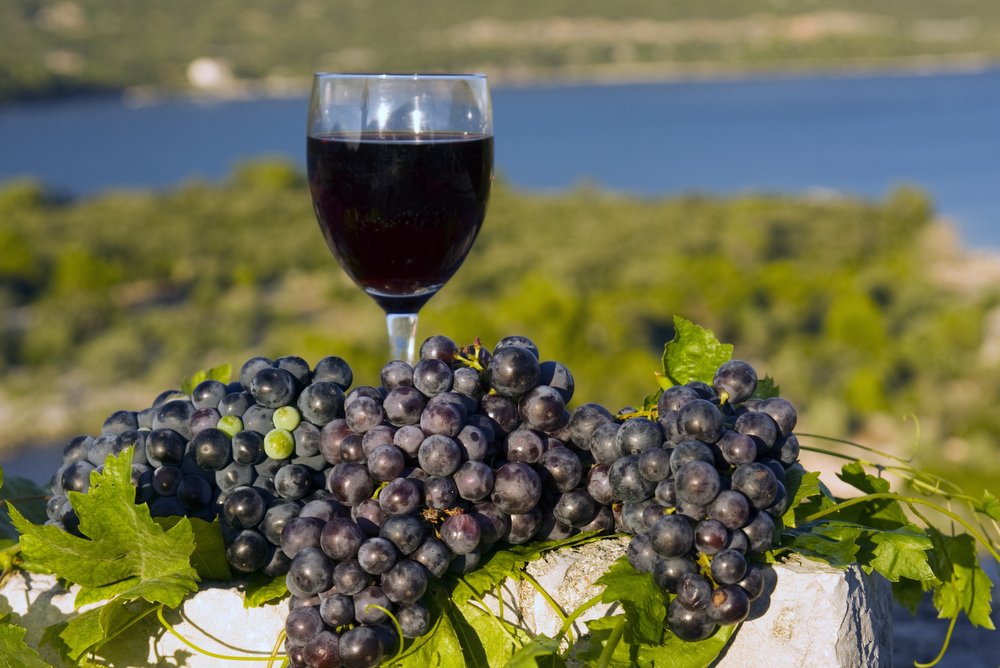 Podzim, období vína i v Chorvatsku